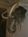 103) Mamut im Nationalmuseum